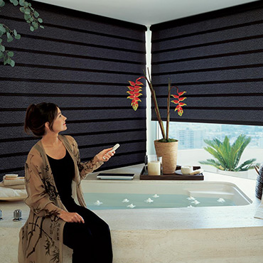 Hunter Douglas